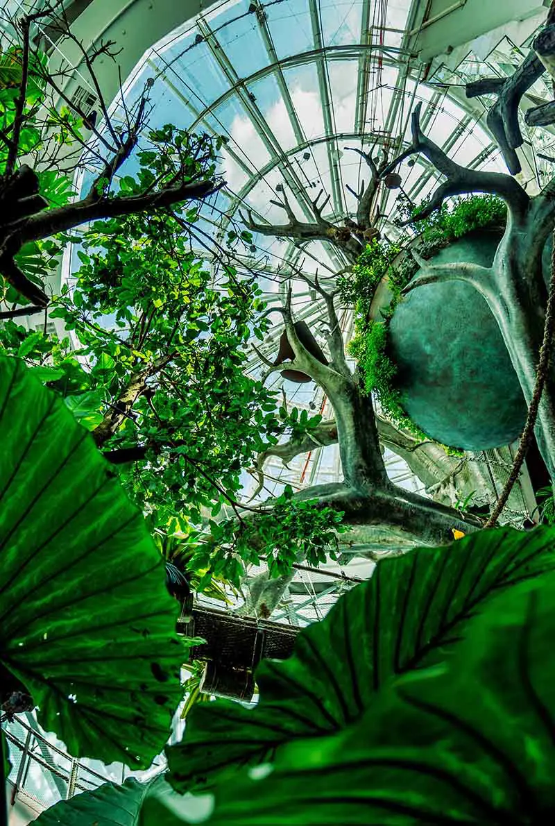 The Green Planet — photo 8 of 8